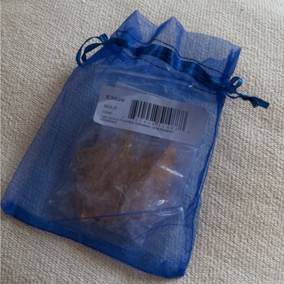 JARDIN 14K Gold Plated Organic Statement Earrings - Picture 5 of 6